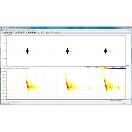 Licence BatSound®- mono-utilisateur