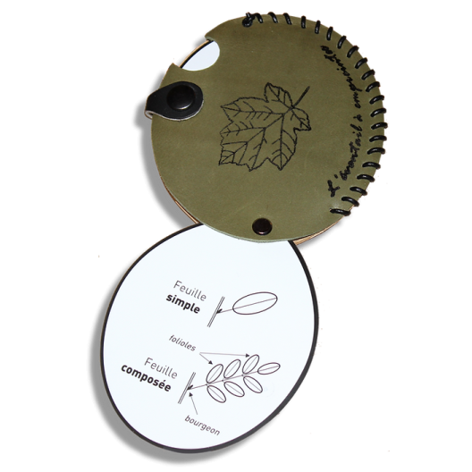 L'éventail a empreintes - Feuilles D'Arbres