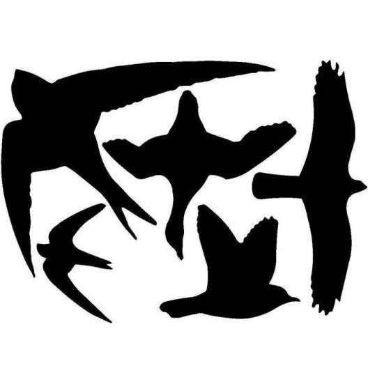 Autocollants de silhouettes d'oiseaux