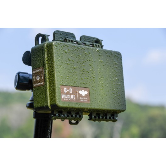 Song Meter Mini Bat 2 AA