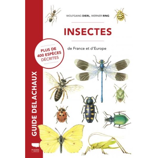 Insectes de France et d'Europe