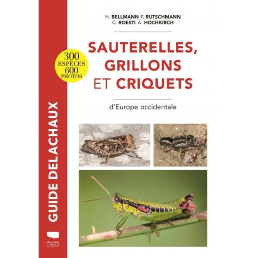 Sauterelles, grillons et criquets d’Europe occidentale – Heiko Bellmann - Édition Guide Delachaux