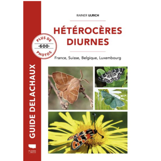 Hétérocère diurnes - Rainer Ulrich - Guide Delachaux
