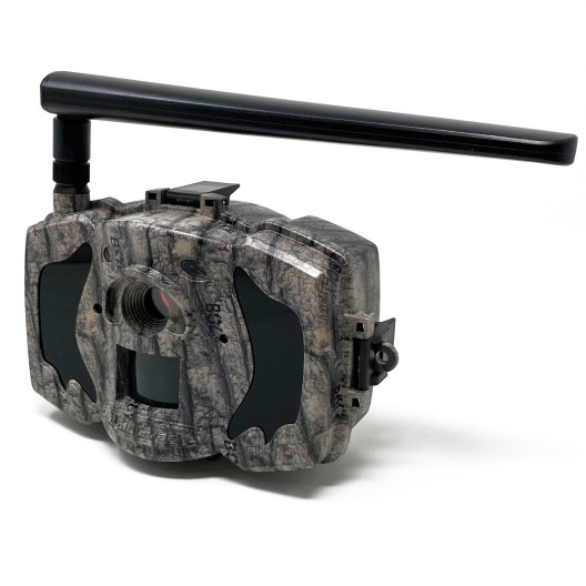 Pièges photographiques Boly Guard BG984-36M- GSM