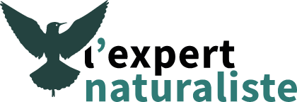 Expert Naturaliste
